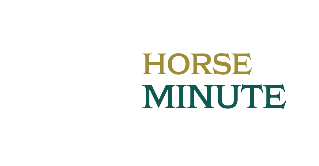 HorseMinute.com